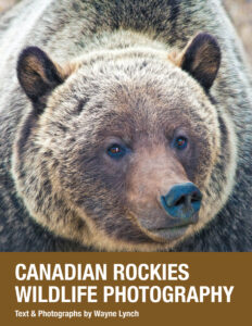 Canadian Rockies Wildlife Photography book