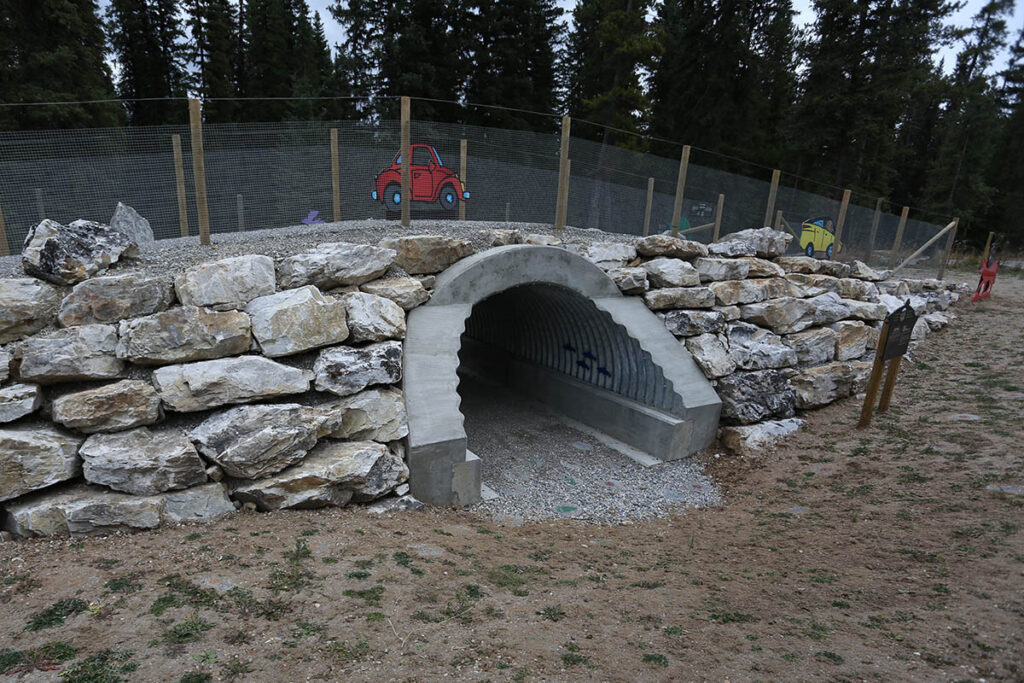 Look for this wildlife underpass replica at Dolly Varden Day Use Area.