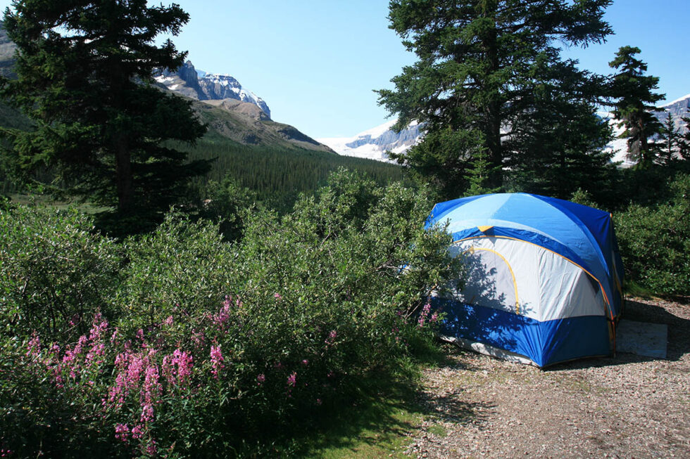Jasper National Park Camping