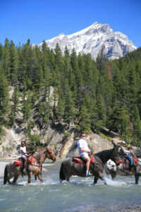 Horseback riding is popular in the Canadian Rockies.