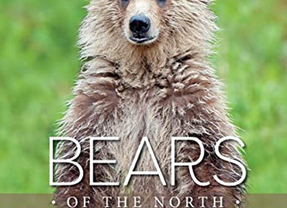 Books About Bears